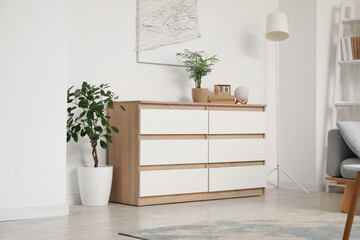 White wooden chest of drawers, houseplants, lamp in interior of light modern living room