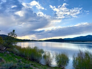 Forest mountain lake reflects serene, encompassing beauty, teeming with wildlife amidst tranquil surroundings of greenery and wilderness.