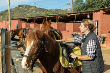 Skilled middle-aged male stable keeper checking saddle on brown horse for riding in yard of stables