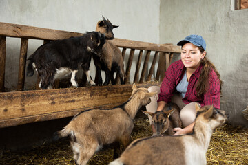Young female farm worker taking care of baby goats