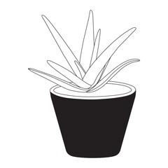 Aloe vera icon