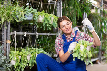 Adult female saleswoman in uniform holding pot of sedum burrito in plant store