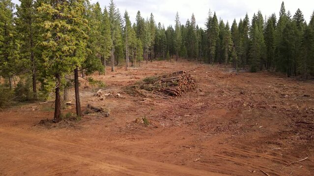 Aerial shot of a section of forest that has been cut down for lumber