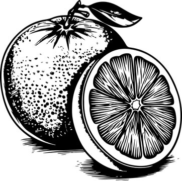 recommend clip art: Illustration of Whole Orange and Slice