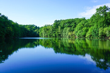 湖面に反射する美しい森の景色