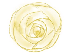 黄色の薔薇の手描きイラスト