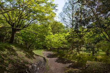 緑が眩しい新緑の公園　リラックスした一時　滋賀県大津市皇子が丘公園