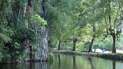 Obraz premium A serene waterway along the limestone mountain with trees canopying the water stream