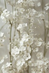 delicate soft white flowers closeup, ai