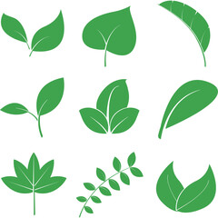 나뭇잎(잎+식물+자연+에코)