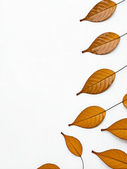 Obraz premium Leaf/leaves/brown/yellow