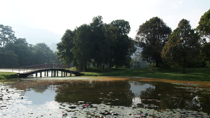 A beautiful landscape scenery of a bridge connecting two green islands together with a lake in between