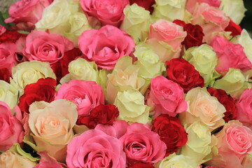  pink mixed wedding roses