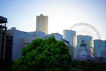 夕方の横浜みなとみらいを観光。