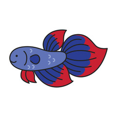 Cute betta fish illustration