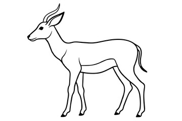 Fototapeta na wymiar gazelle vector silhouette illustration