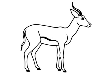 gazelle vector silhouette illustration
