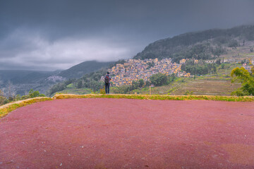 Fototapete bei efototapeten.de bestellen   