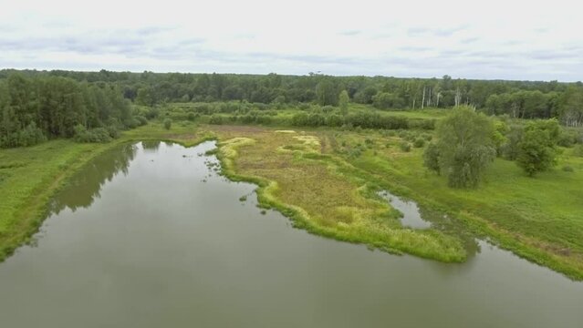 Small lake in the forest in summer. Stock footage. Aerial view of swampy terrain, meadow and grove.