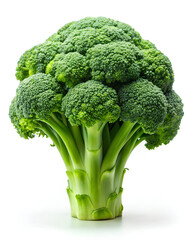 Fresh green broccoli isolated on a white background