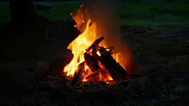 The crackle of the fire mixes with the sound of crickets in the distance.