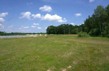 A deer running through the field towards the forest