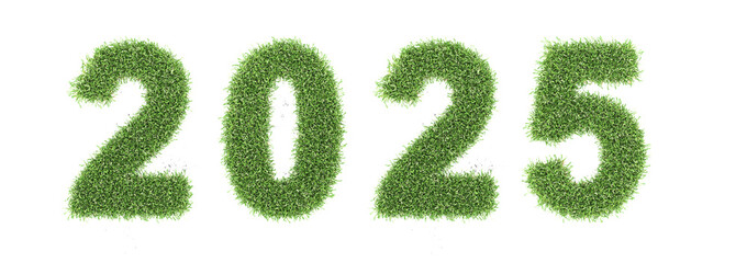 New Year 2025 Creative Design Concept with grass  - 3D Rendered Image	
