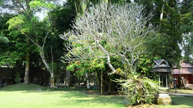 Mae Fah Luang Art and Cultural Park, Thailand