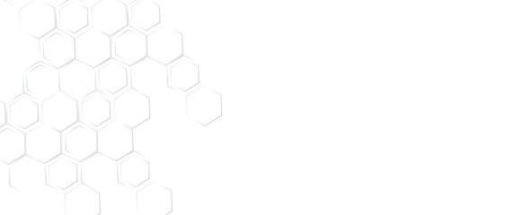 Vector hexagon geometric lines business presentation for your design and text, minimal graphic concept.