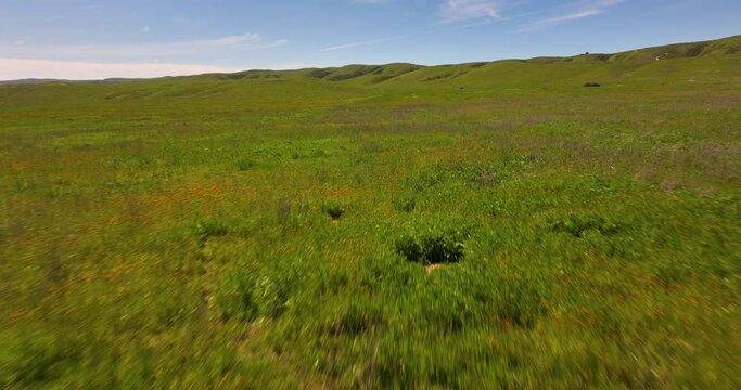 Springtime Temblor Range Open Space California Aerial Drone