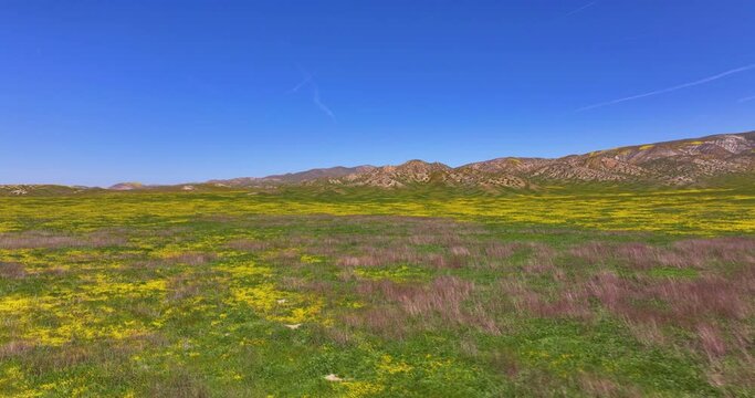 Aerial View of Temblor Range California and Spring Wildflowers