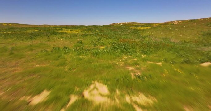 Aerial Drone over Temblor Range California Grassland and Wildflowers