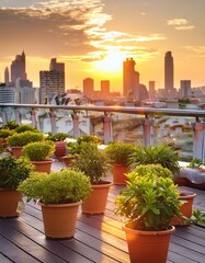 rooftop garden