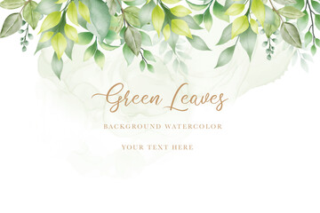 beautiful green leaves background watercolor