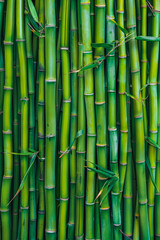 Fototapeta premium Bamboo Forest In The Form Of A Tourist Photo For Background Created Using Artificial Intelligence