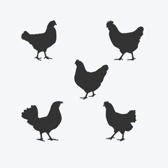 Comprehensive Hen Silhouette Set, An Extensive Collection of Stylish Poultry Outlines for All Your Design Needs