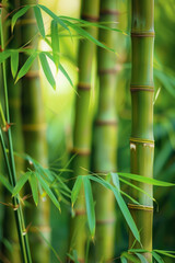 Bamboo Forest In The Form Of A Tourist Photo For Background Created Using Artificial Intelligence