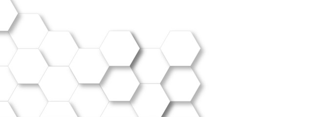 Abstract white hexagonal geometric background with shadow. Luxury White 3D futuristic honeycomb mosaic white background. Abstract white lines background. Vector Illustration.