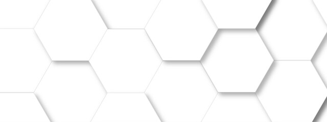 Abstract white hexagonal geometric background with shadow. Luxury White 3D futuristic honeycomb mosaic white background. Abstract white lines background. Vector Illustration.