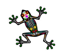 Mexican frog animal tattoo. Isolated vector Dia de los Muertos figure of toad amphibian. Day of the dead frog sugar skull with skeleton bones and floral pattern, symbol of nature, fauna and wild life