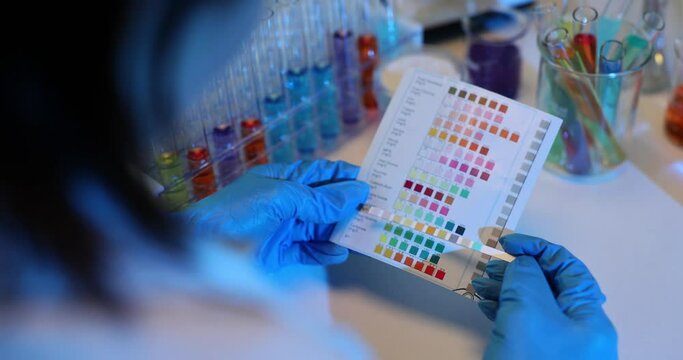 Scientist holding test strip and checking result