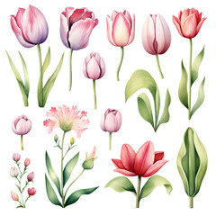 Watercolor stickers set clipart tulip flower
