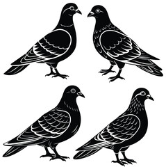 Set of pigeon logo vector silhouette