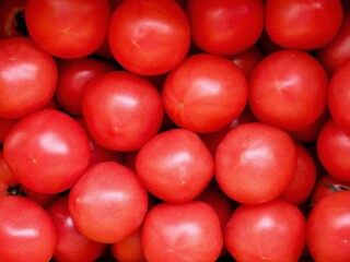 신선한 유기농 채소 빨간 토마토