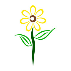 sunflower isolated on white background