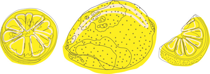 Lemons hand drawing. Citrus food. Vector illustration. For lemonade.