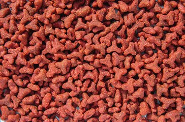 dry food for cats background. texture of dry cat food