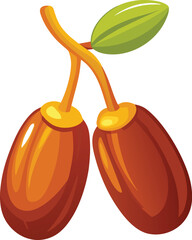 Date fruit with stalk vector illustrations on white background