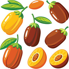 Dates Fruit vector illustrations on white background