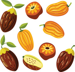 Dates Fruit vector illustrations on white background